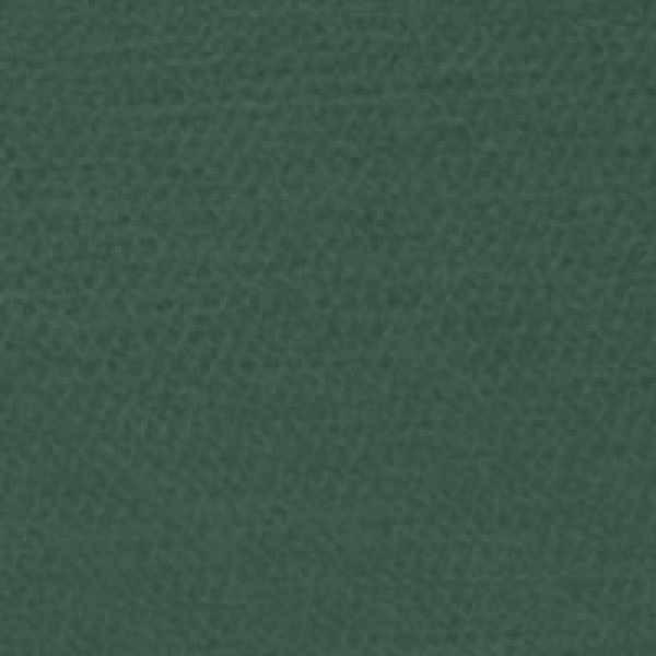 Carrello Bravo plus 2025 palm green